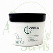 中野製薬 薬用 コリューム リペアメント 【250g】