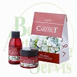 ナプラ ケアテクトHB リペアシャンプー&トリートメント 50ml&50g 【お試しミニセット】